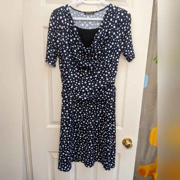 Polka-dot Dress - petite - Picture 1 of 4